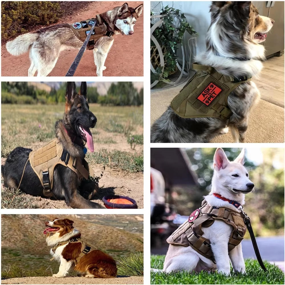 Pet Harness Luxury Dog Leash