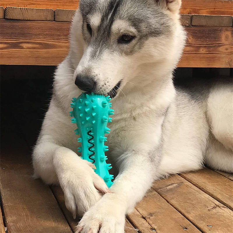 Dog Toys